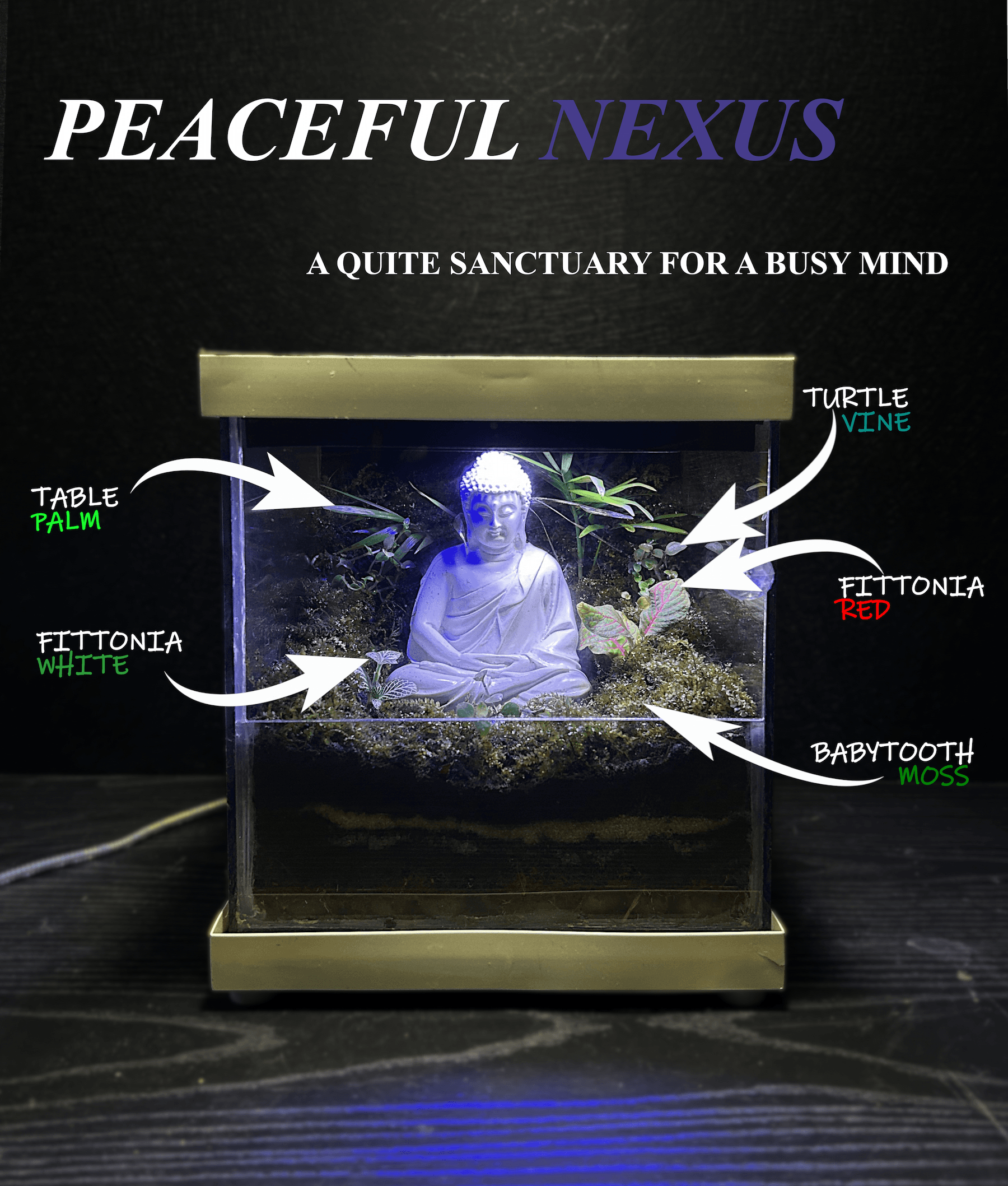 Peaceful Nexus - View 1