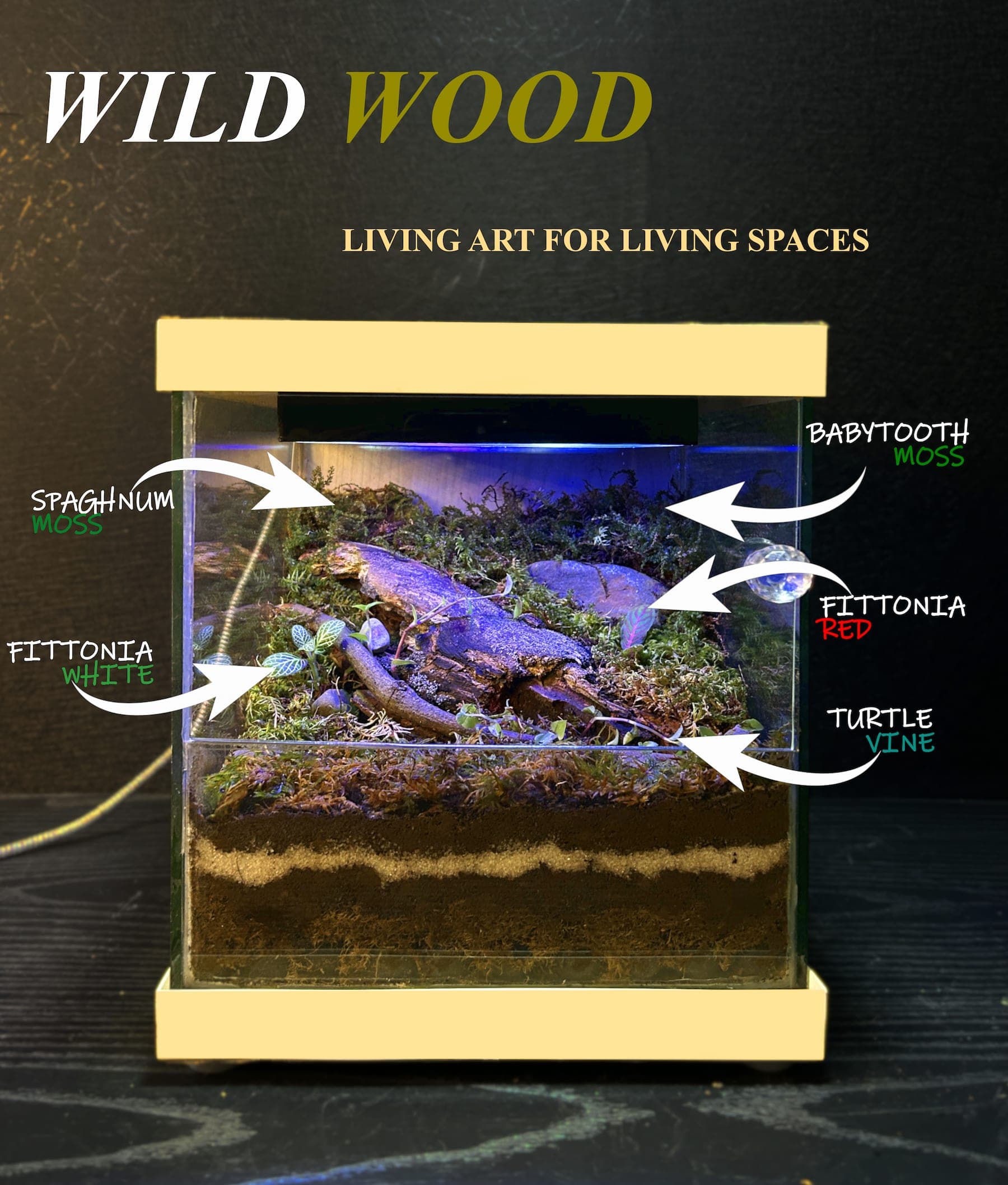 Wild Wood - View 1