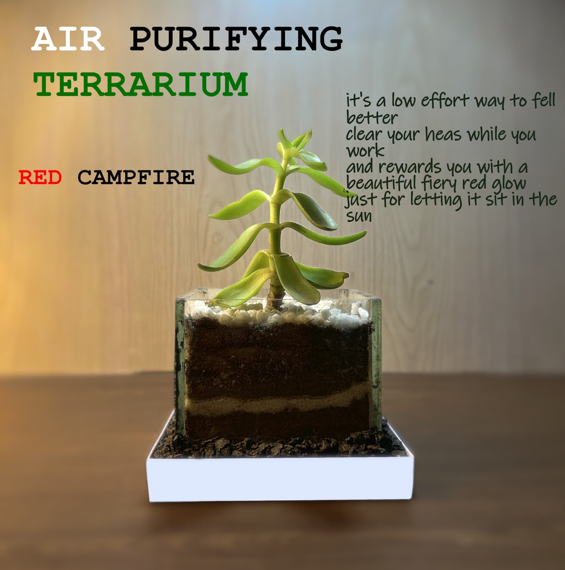 Red Campfire Terrarium - View 1