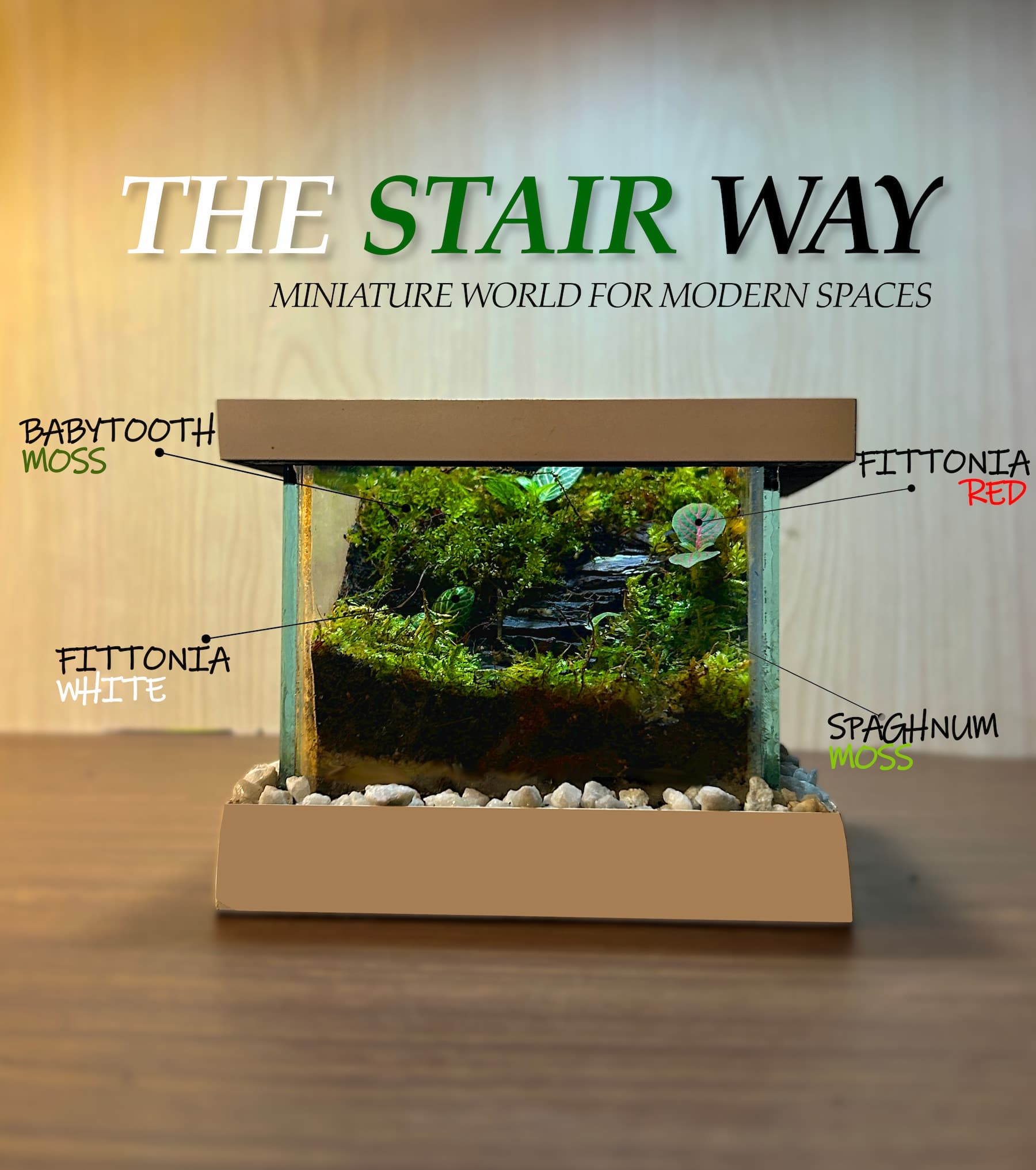 The Stair Way - View 1