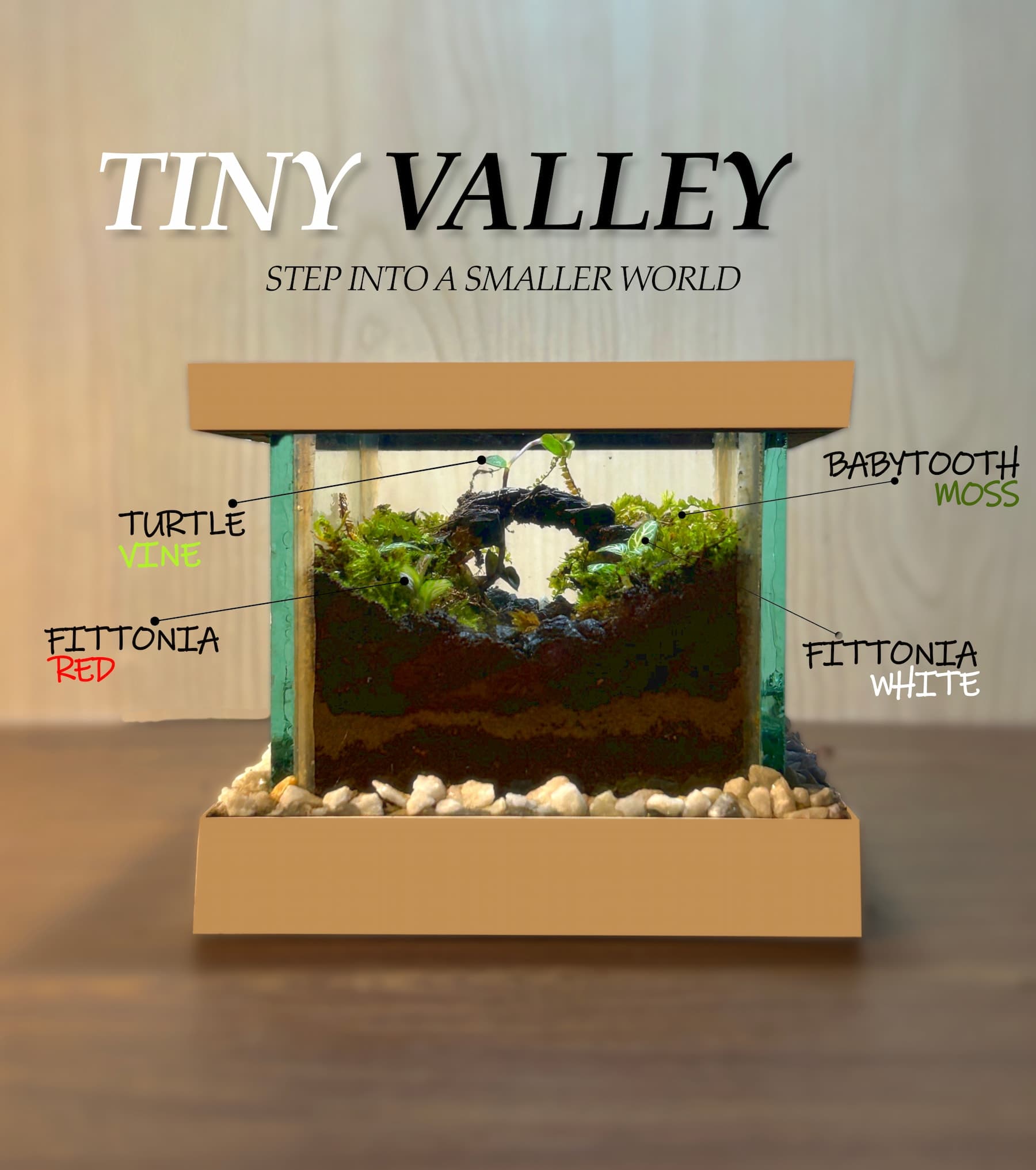 Tiny Valley - View 1
