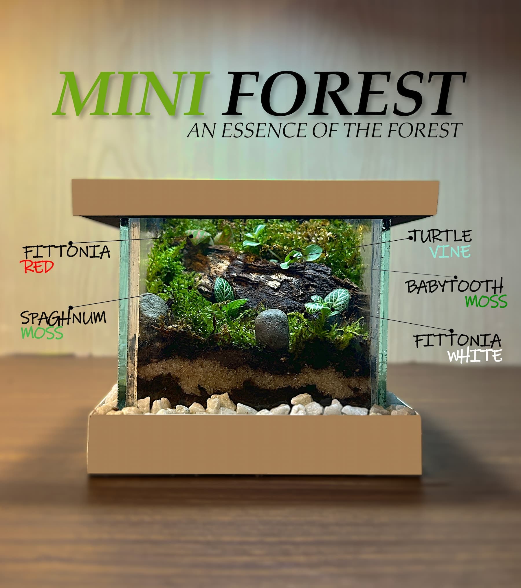 Mini Forest - View 1