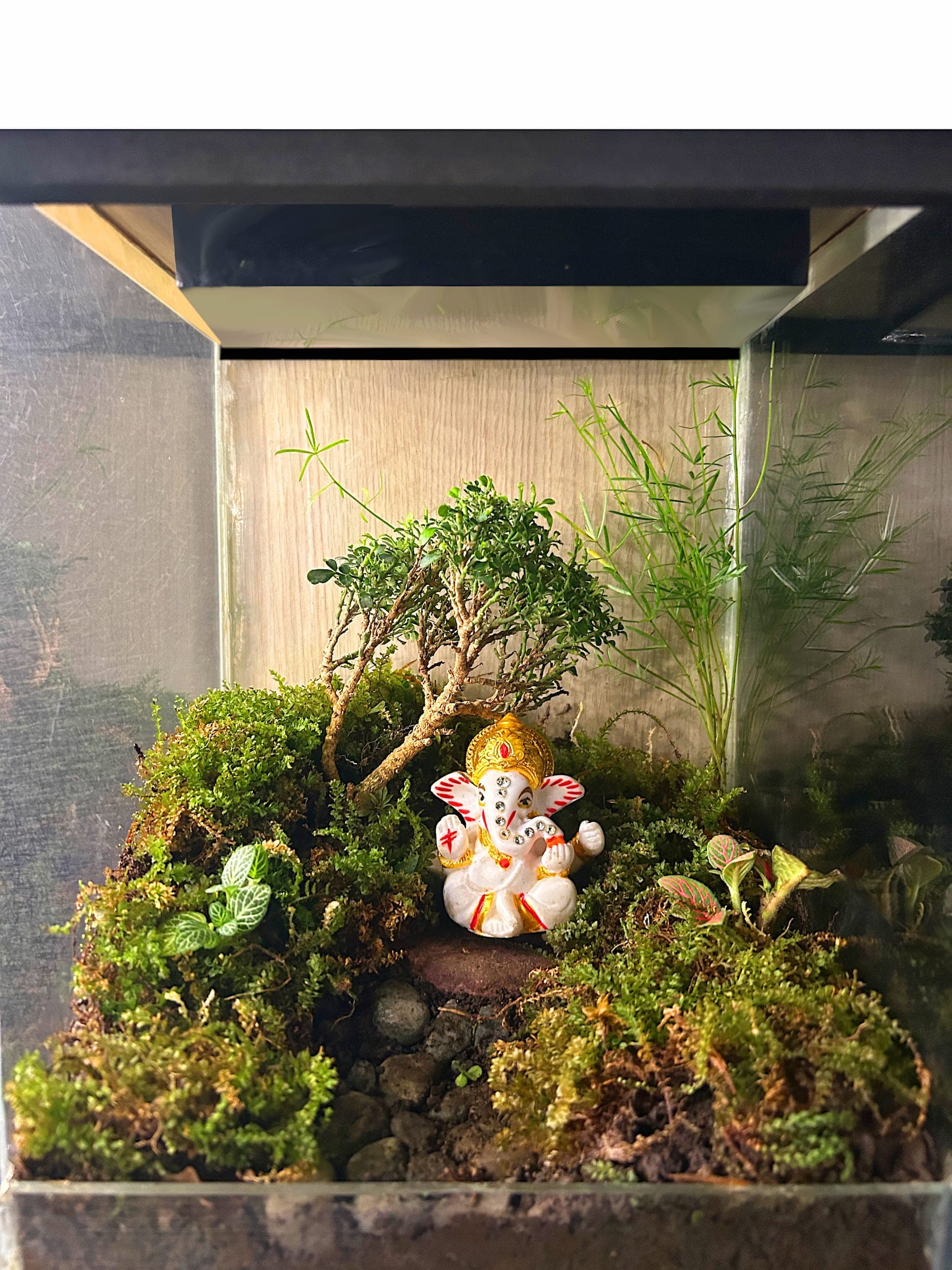 Van Ganesh Sacred  thumbnail 3