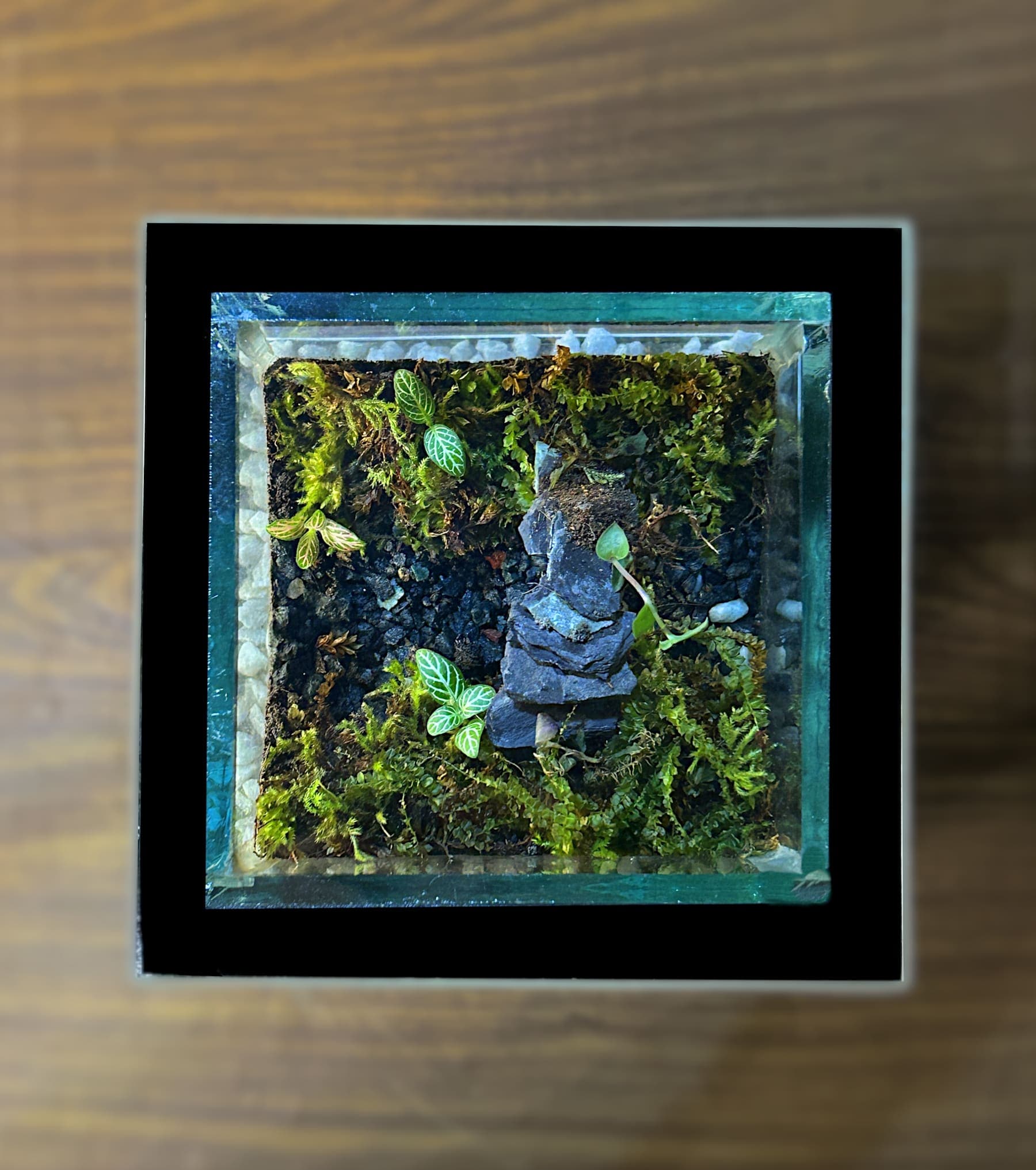 Tiny Valley thumbnail 4