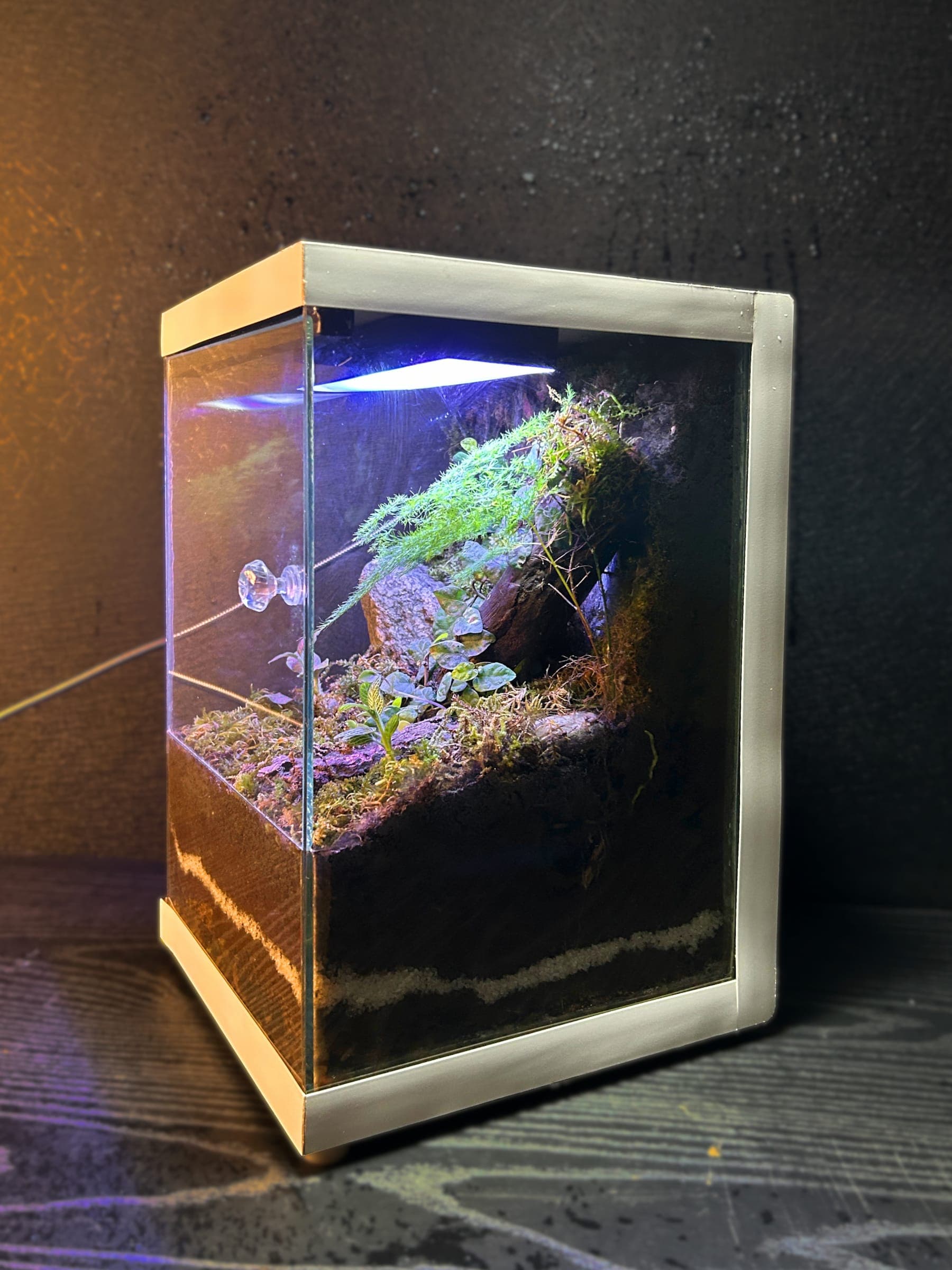 The Green Gallery thumbnail 4