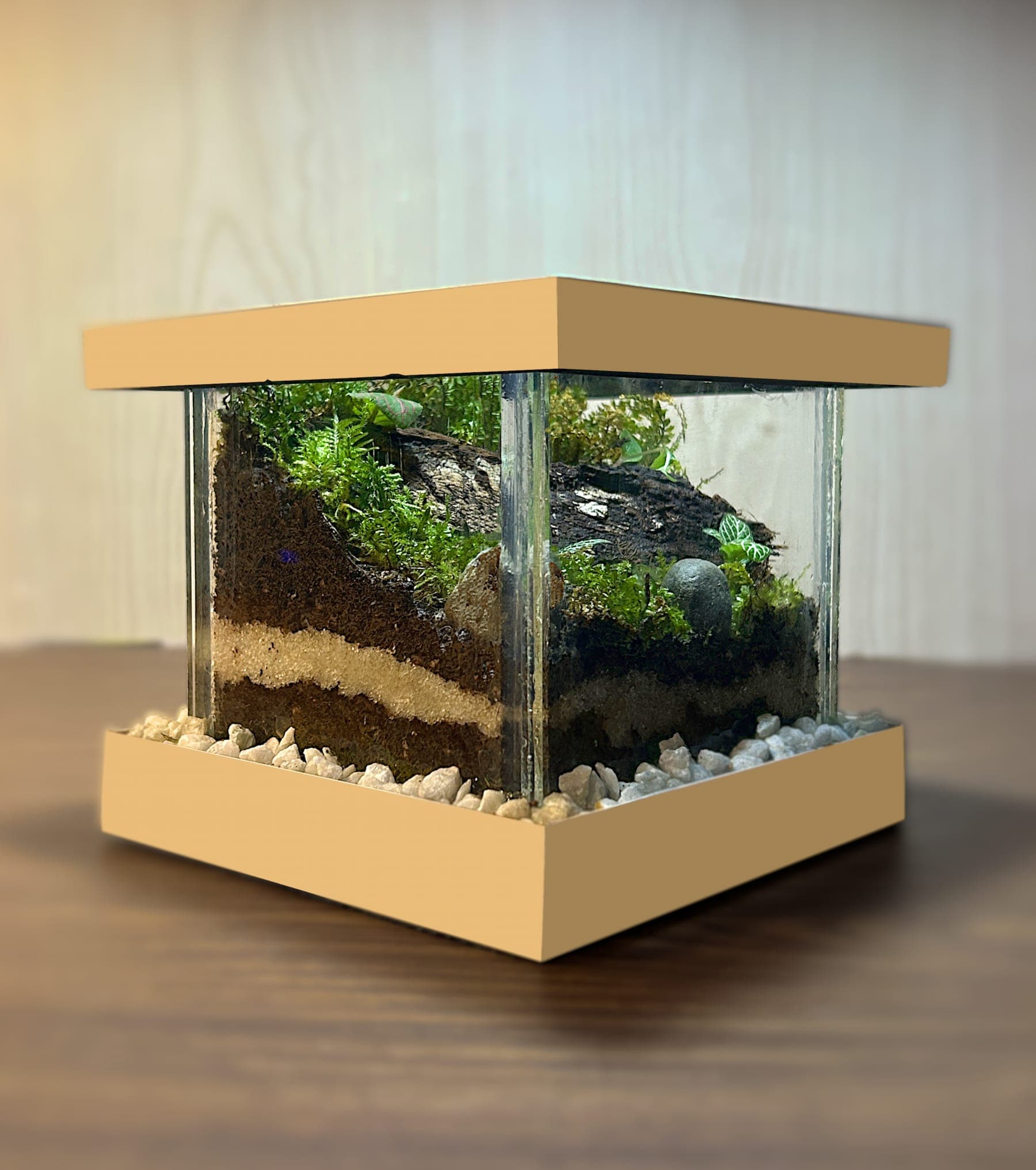 Mini Forest