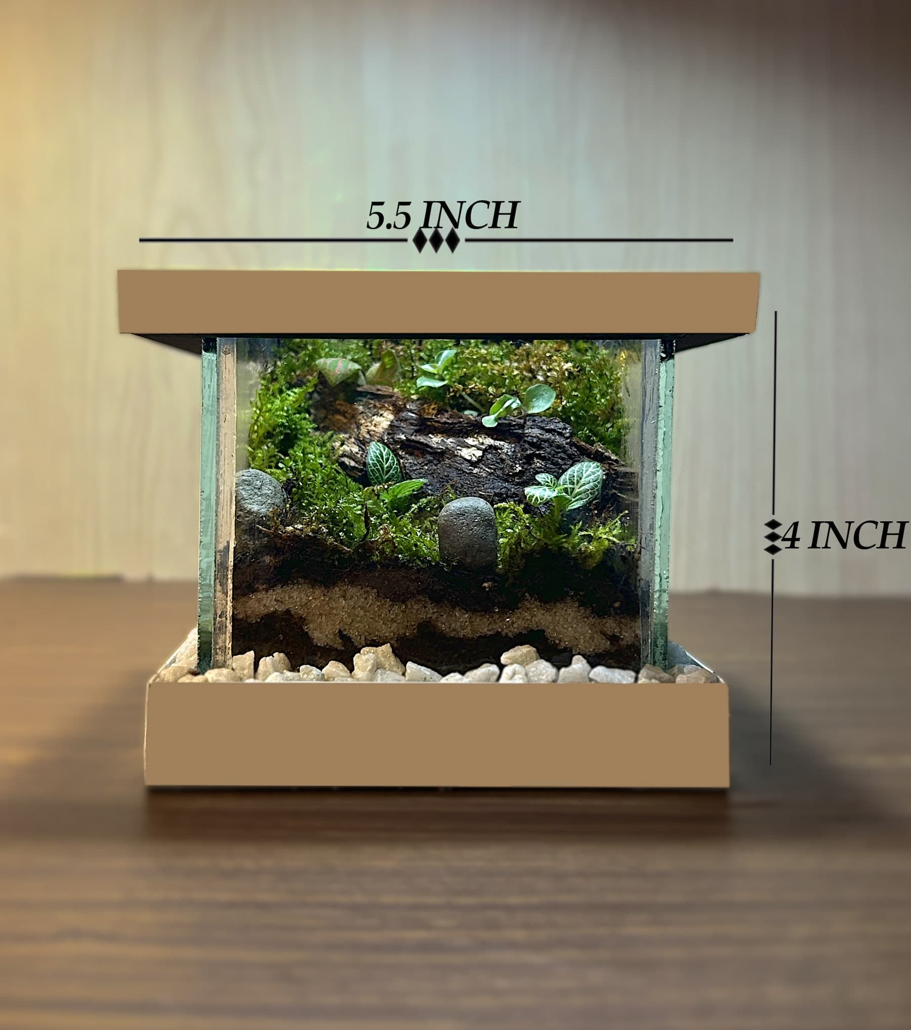 Mini Forest thumbnail 5